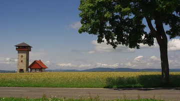 Der Aussichtsturm U borovice in der Landschaft bei Roprachtice