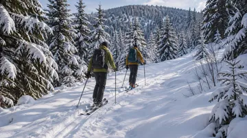 Ilustrace dvou skialpinistů při výstupu zasněženou lesní cestou.